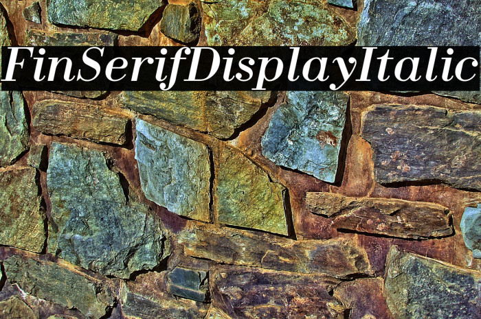 Fin Serif Display Italic Example 1