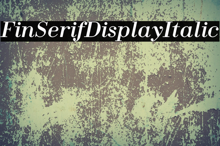 Fin Serif Display Italic Example 2