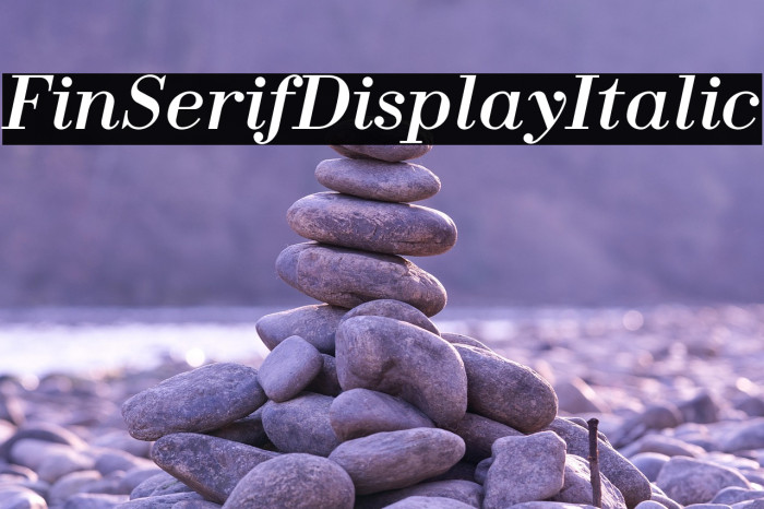 Fin Serif Display Italic Example 3