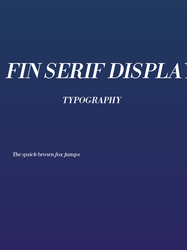 Fin Serif Display Italic Poster