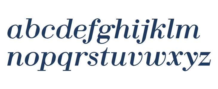 Fin Serif Display Italic Lowercase