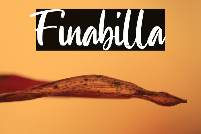 Finabilla Example 1