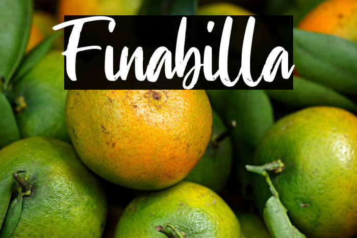 Finabilla Example 3