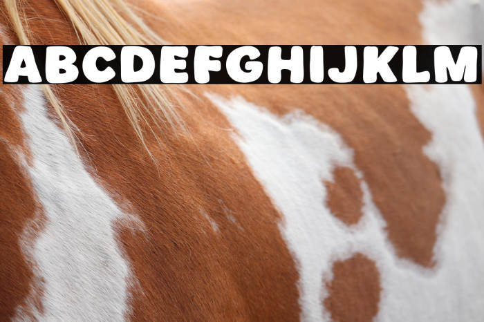 Final Draft Example 2