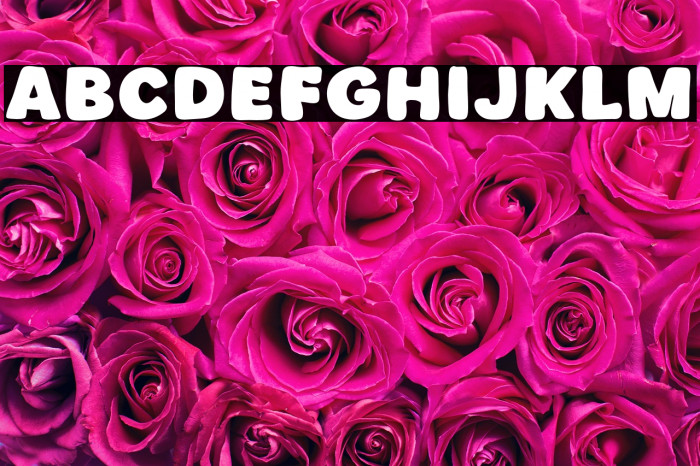 Final Draft Example 3