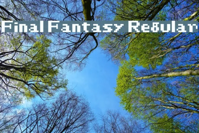 Final Fantasy Regular Example 3