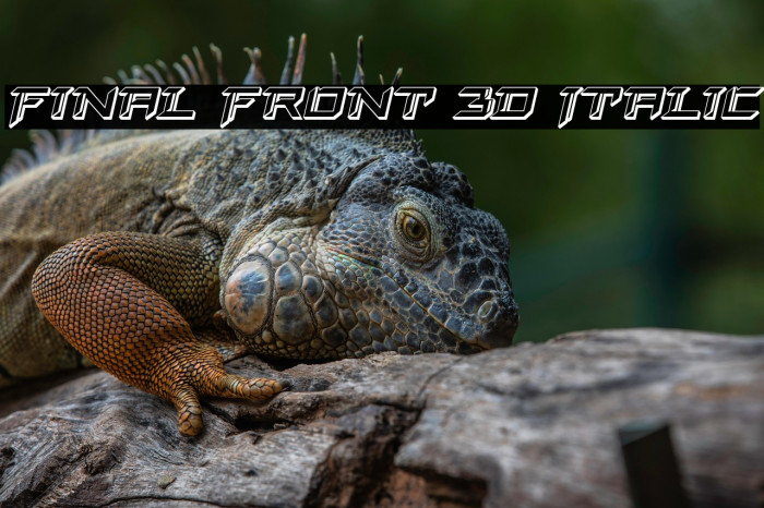 Final Front 3D Italic Example 2