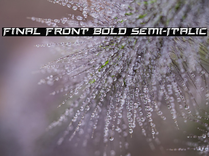 Final Front Bold Semi-Italic Example 3