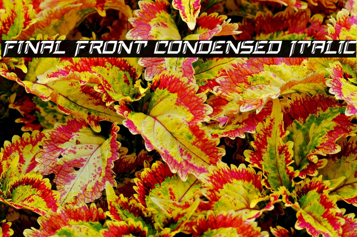 Final Front Condensed Italic Example 2