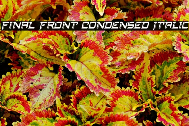 Final Front Condensed Italic Example 2