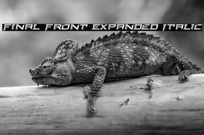 Final Front Expanded Italic Font examples
