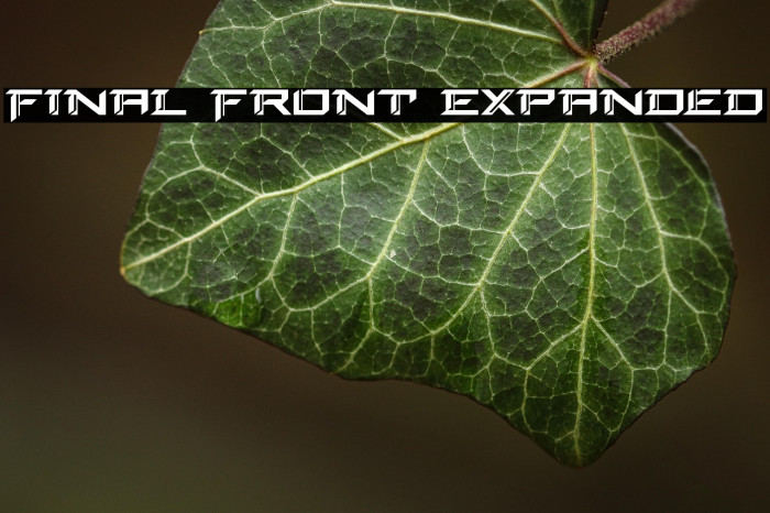 Final Front Expanded Example 2