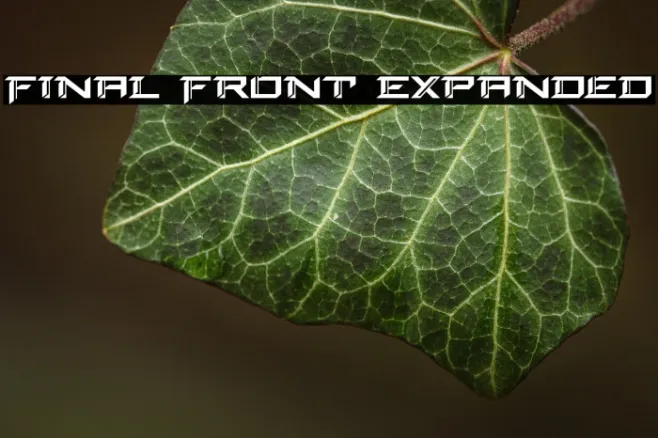Final Front Expanded Example 2