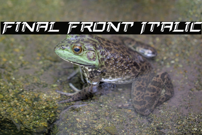 Final Front Italic Example 2