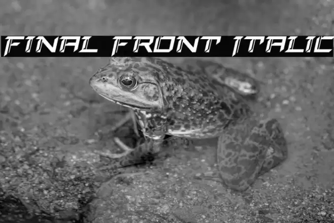 Final Front Italic Font examples