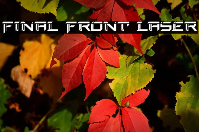 Final Front Laser Example 3