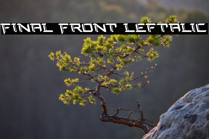 Final Front Leftalic Example 2