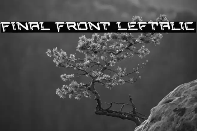 Final Front Leftalic Font examples