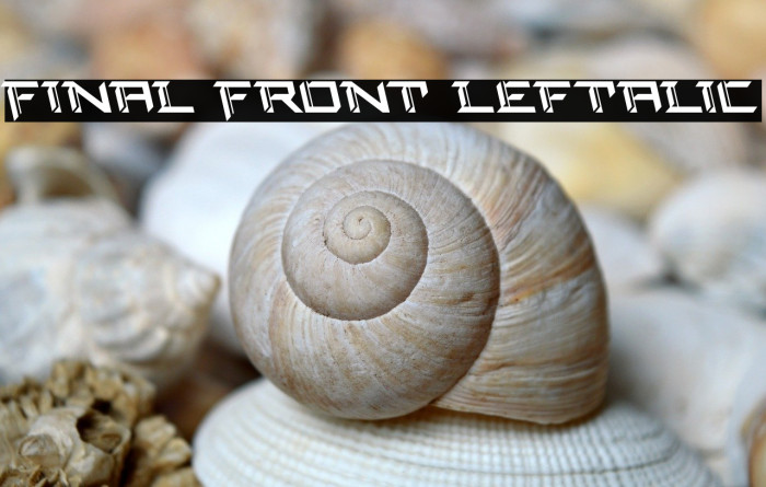 Final Front Leftalic Example 3