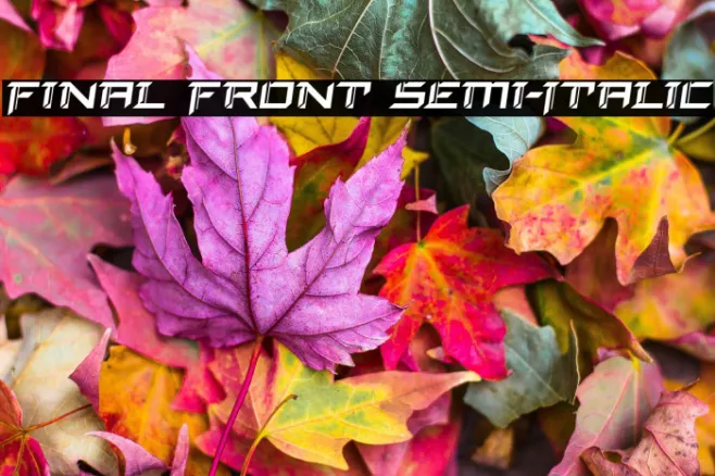 Final Front Semi-Italic Example 2