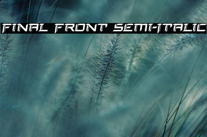Final Front Semi-Italic Example 3