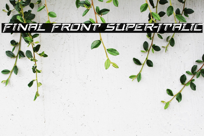 Final Front Super-Italic Example 2