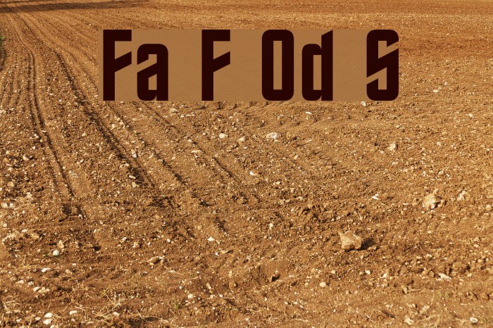 Final Frontier Old Style Font examples