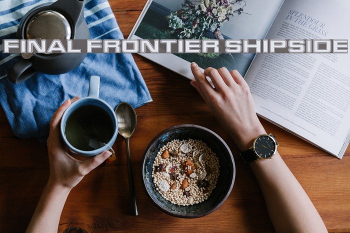 Final Frontier Shipside Schriftart examples