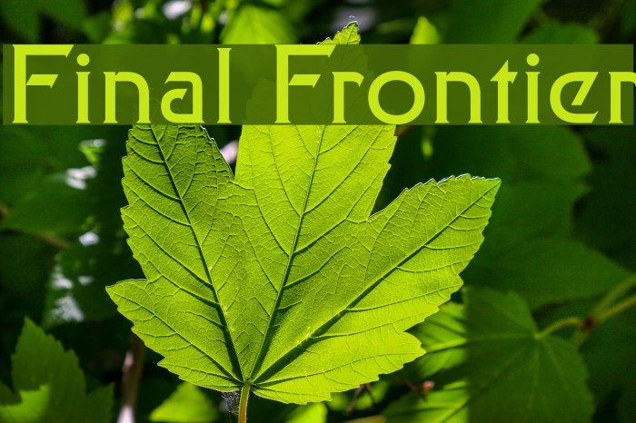 Final Frontier Font examples