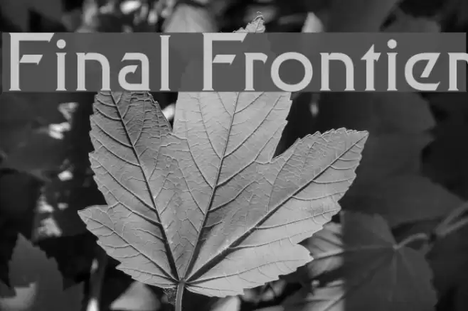 Final Frontier Fuentes examples