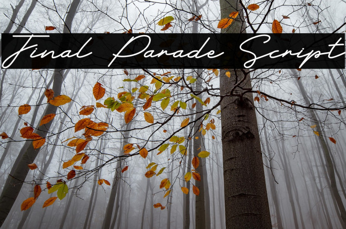 Final Parade Script Fonte examples