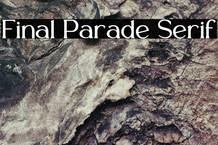 Final Parade Serif फ़ॉन्ट examples