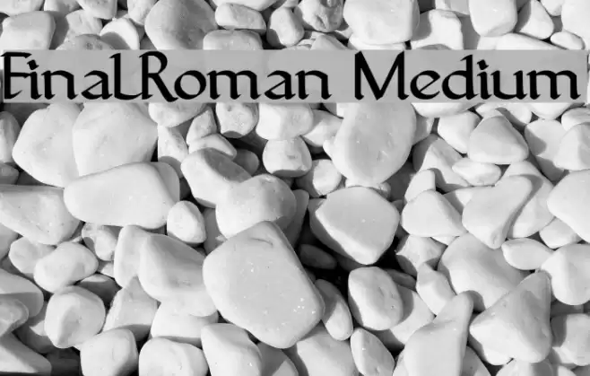FinalRoman Medium フォント examples