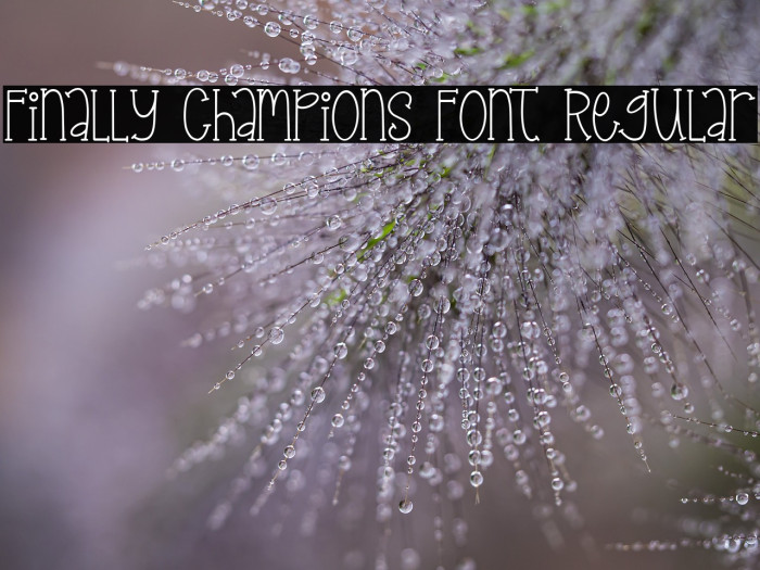 Finally Champions Font Regular Example 1