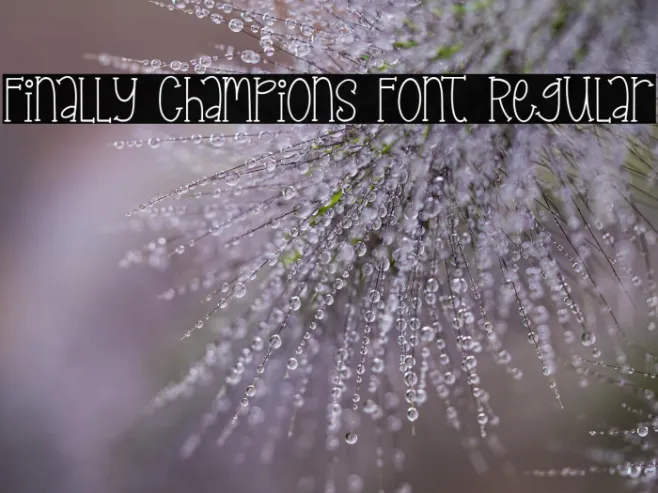 Finally Champions Font Regular Example 1