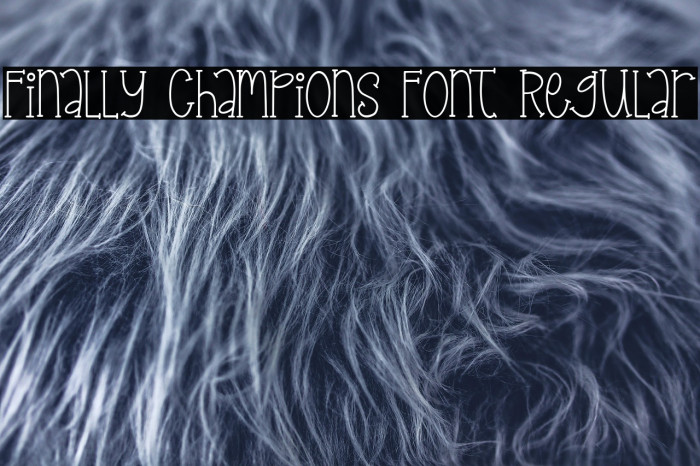 Finally Champions Font Regular Example 2