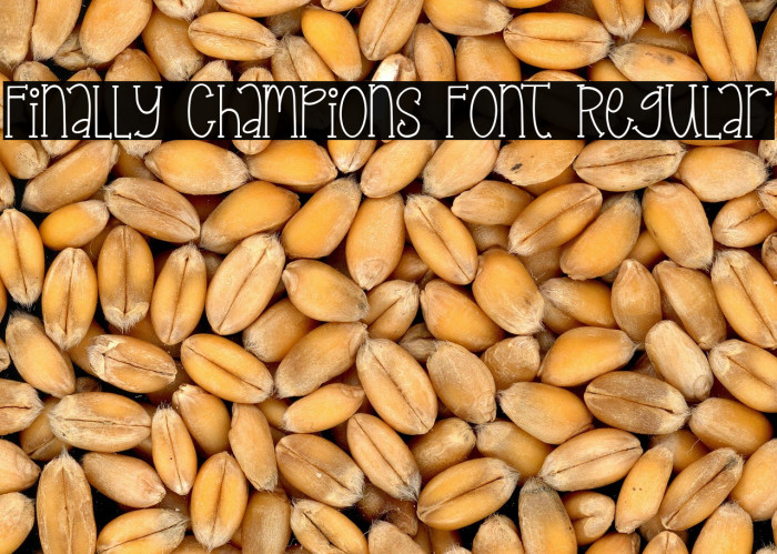 Finally Champions Font Regular Example 3