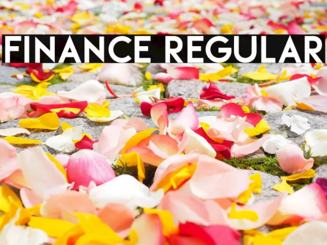 Finance Regular Example 1