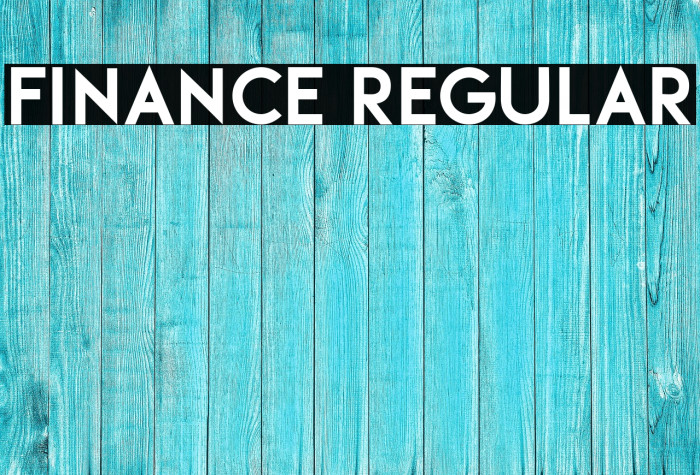 Finance Regular Example 3