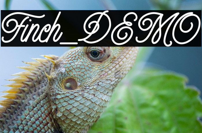 Finch_DEMO Example 1