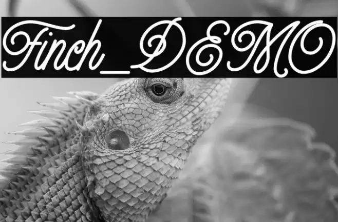 Finch_DEMO Font examples