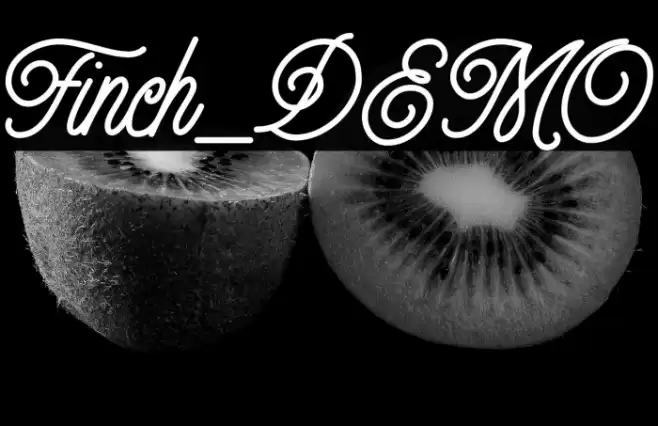 Finch_DEMO Font examples