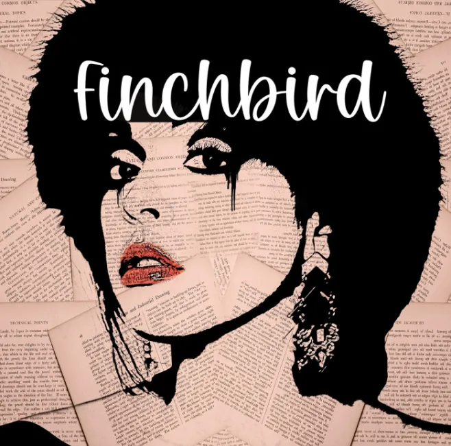 Finchbird Example 1