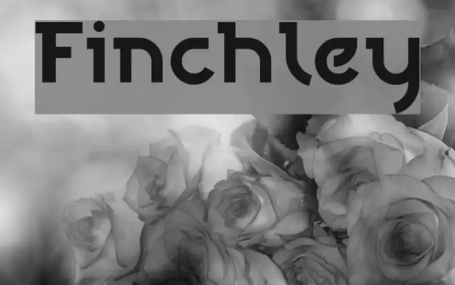 Finchley خط examples