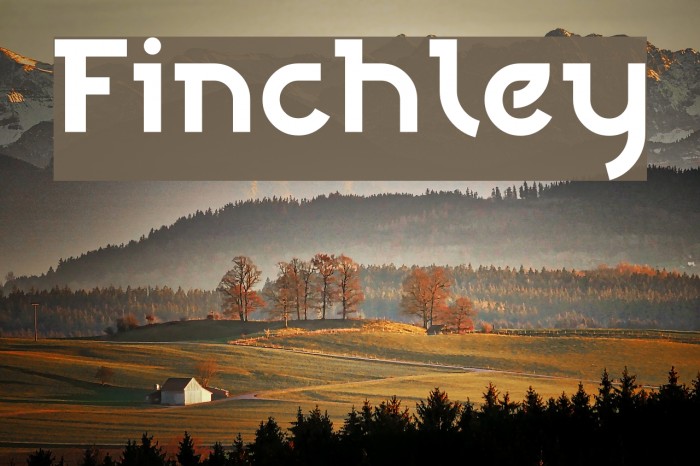 Finchley Font examples