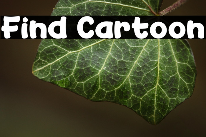 Find Cartoon Example 2