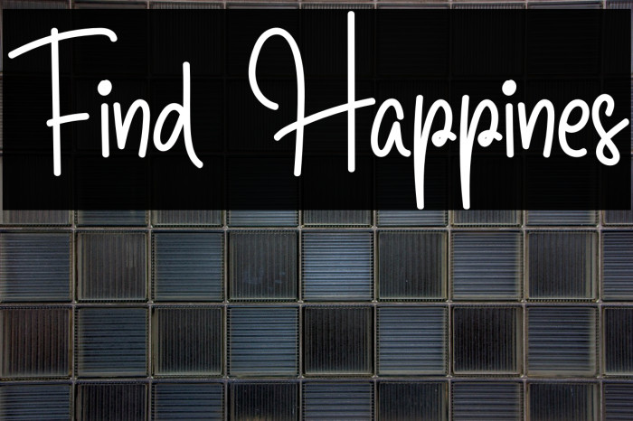 Find Happines Example 3