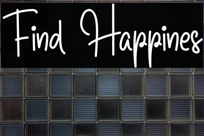 Find Happines Example 3