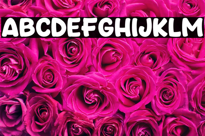 FindCartoon Example 1