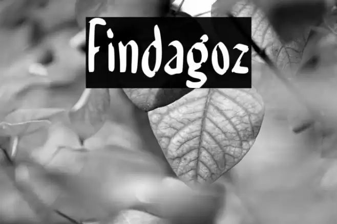 Findagoz Font examples